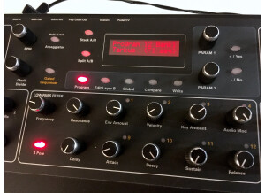 Dave Smith Instruments Prophet 08 Pot Edition (74189)