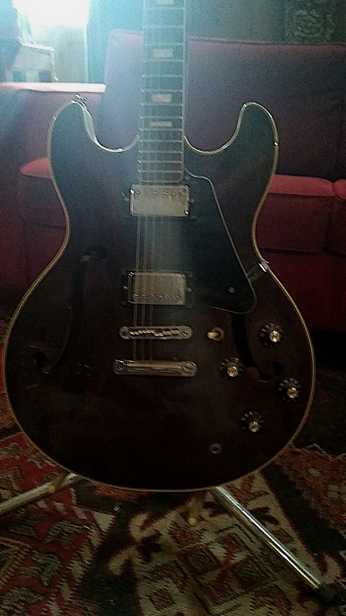 Aria Pro II ES-200