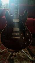 Aria Pro II ES-200