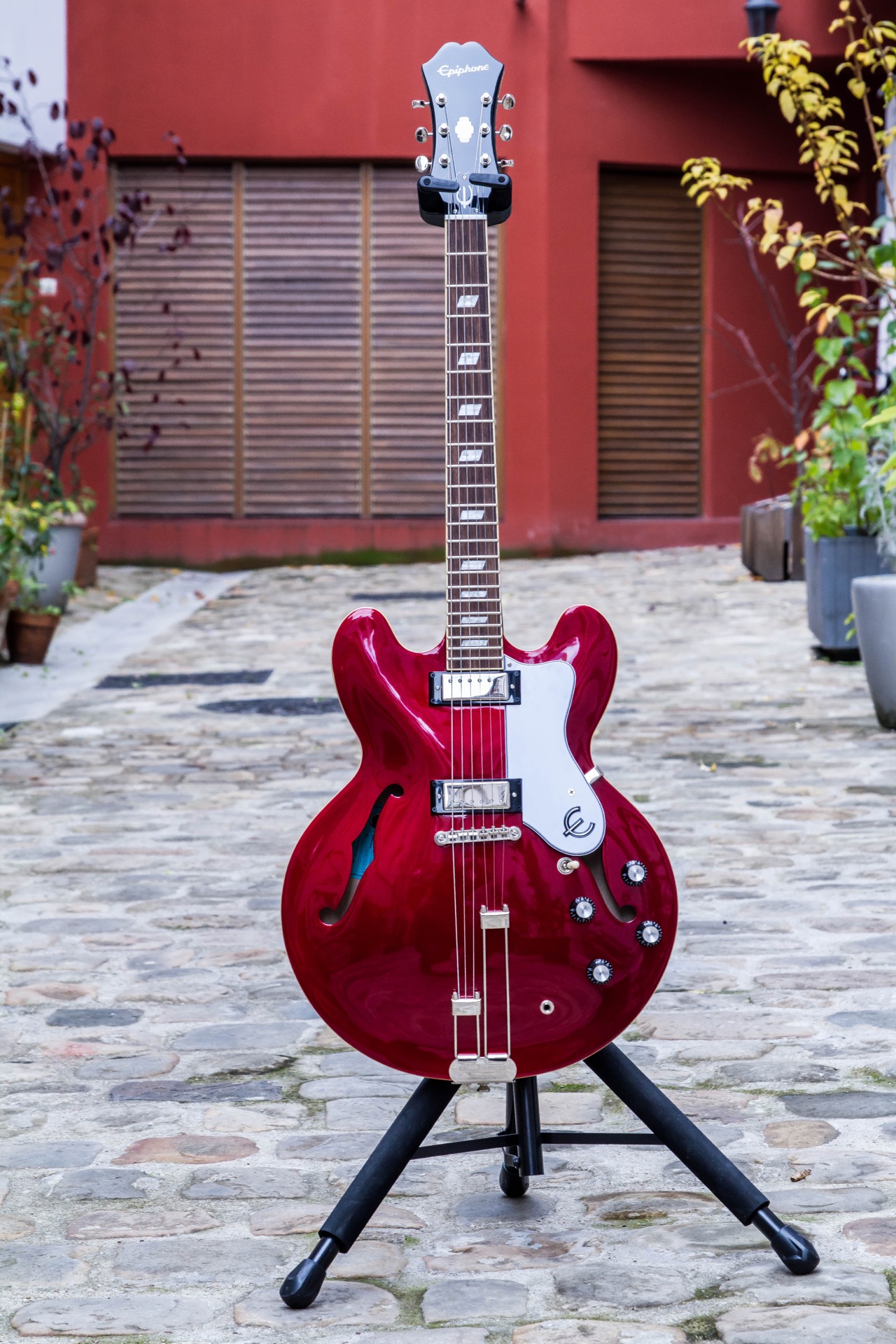 Epiphone Riviera [2020-Current] : Riviera