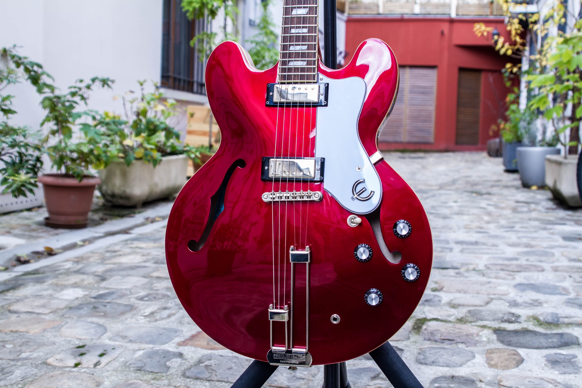 Epiphone Riviera [2020-Current] : Riviera-5