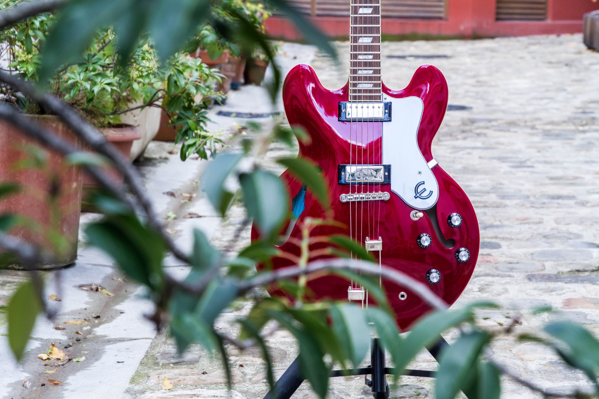 Epiphone Riviera [2020-Current] : Riviera-20