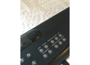 Korg 707 (91150)