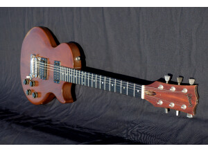 Gibson The Paul Firebrand Deluxe (22902)