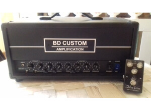 BD Custom Amplification BF/CUSTOM+ (23702)
