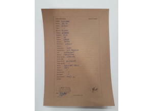 Girault Guitars Louisiane (77666)