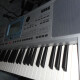 Pa50SD Pa50SD