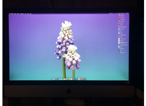 Apple iMac 27 inches 2012 (27151)