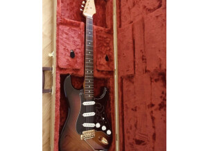 Fender Stevie Ray Vaughan Stratocaster (76815)
