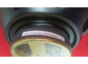 Fender Mustang I (61238)