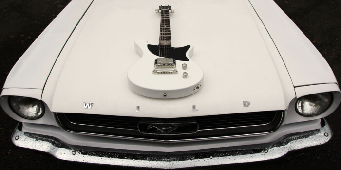 wildcustoms2 wildcustoms2