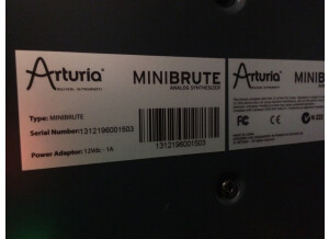 Arturia MiniBrute (5649)