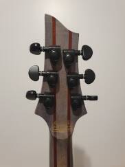 Schecter C1 FR-S Apocalypse Blue Reign