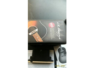 lr-baggs-m80-3195928