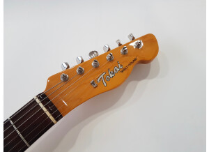 Tokai Breezysound Telecaster (53496)