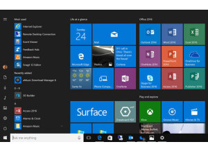 Microsoft Windows 10 (31601)