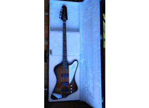 Gibson Thunderbird IV (74072)