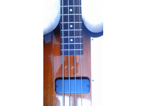 Gibson Thunderbird IV (53357)