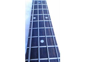 Gibson Thunderbird IV (42524)