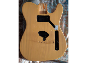 DIY Manche de guitare / Neck (17749)