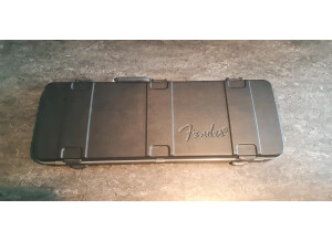 Fender ABS Molded Strat/Tele Case (31291)