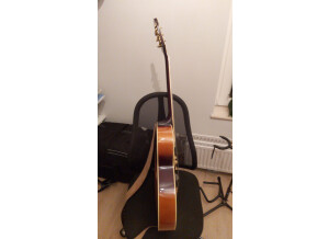 Epiphone_Regent_side_3.JPG