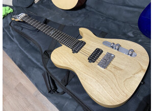 Chapman Guitars ML-7 T (92741)