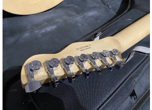 Chapman Guitars ML-7 T (46431)