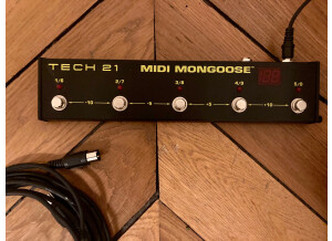Tech 21 MIDI Mongoose (1841)