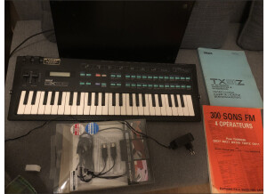 Yamaha DX100 (5950)