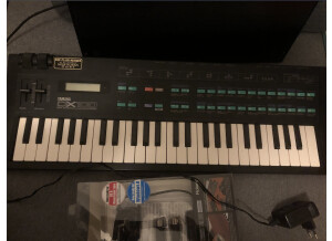 Yamaha DX100 (17559)