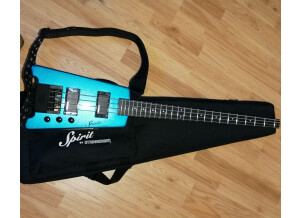 Steinberg Electric Bass (4738)