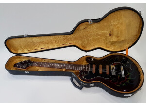 Gibson S-1 (31625)