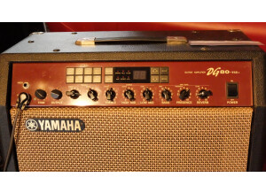 Yamaha DG80-112