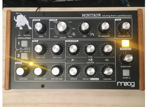 Moog Music Minitaur (32430)