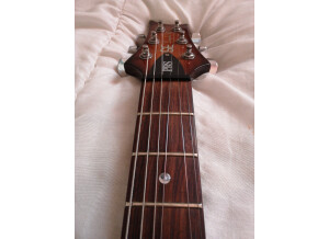 PRS SE Soapbar II (20880)