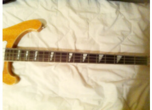 Az By Wsl Guitars R4003 Custom (57805)