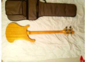 Az By Wsl Guitars R4003 Custom (50328)