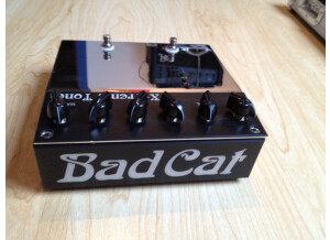 Bad Cat X-Treme Tone (54059)