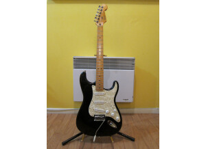 Fender Stratocaster (58654)