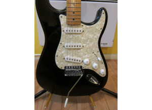 Fender Stratocaster (24509)