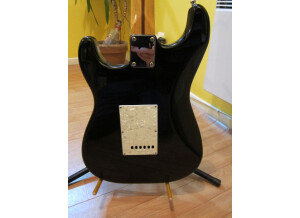 Fender Stratocaster (21046)