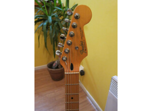 Fender Stratocaster (35621)