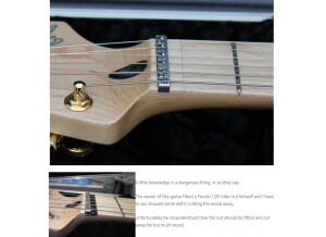 Fender Strat Plus [1987-1999] (40672)