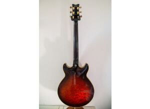 Ibanez AM200 (58746)