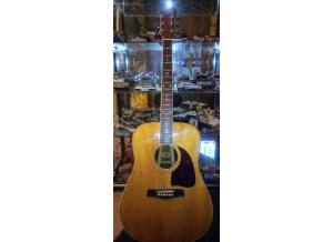 Acoustique face