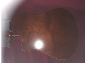Seagull Performer CW Cedar GT QI (36673)