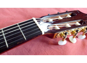 Alhambra Guitars 5P (60878)