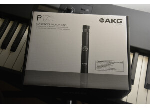 AKG P170 (91091)