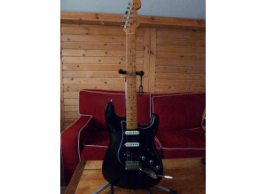 Fender [American Standard Series] Stratocaster- Black Maple